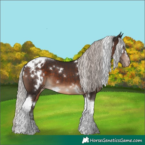 Horse Color:White Spotted Silver Brown Tobiano Appaloosa