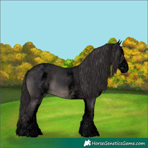 Horse Color:Void White Spotted Smoky Black Sabino