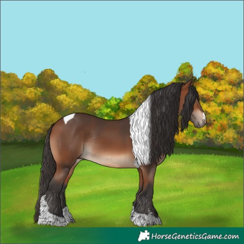 Horse Color:Bay Tobiano Rabicano