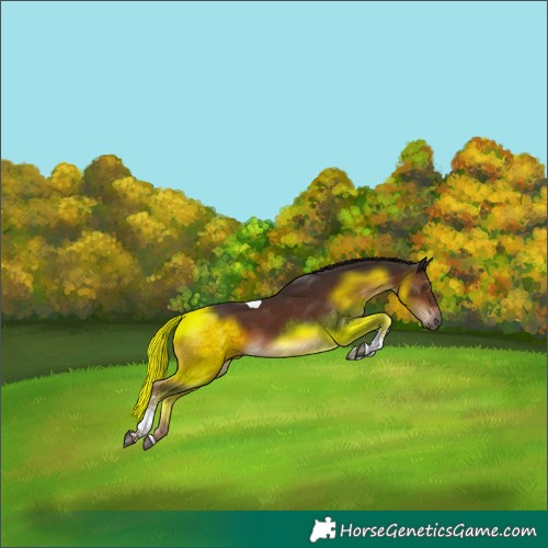 Horse Color:Liver Chestnut Tobiano 