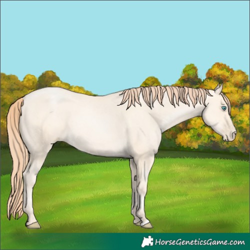 Horse Color:Amber Cream Champagne Pearl 