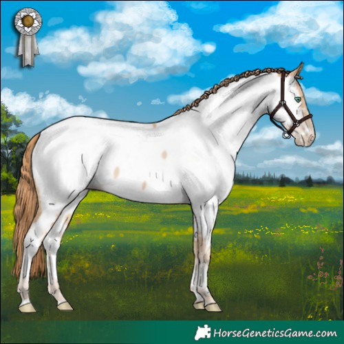 Horse Color:Smoky Black Pearl Near Fewspot 