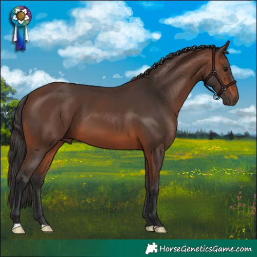 Horse Color:Brown 