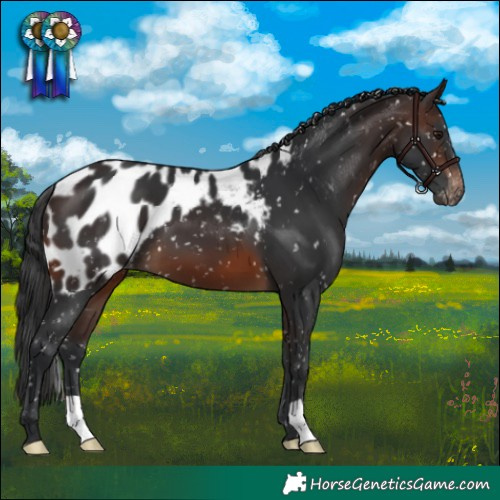 Horse Color:Brown Skewed LP Spotted