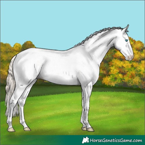 Horse Color:Perlino Sabino Rabicano 