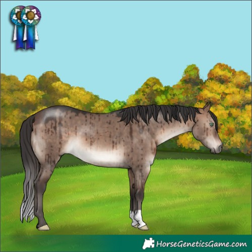 Horse Color:Brown Dun Mushroom Brindle