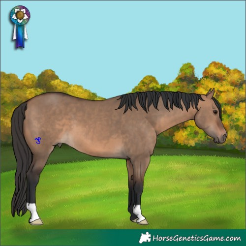 Horse Color:Brown Dun