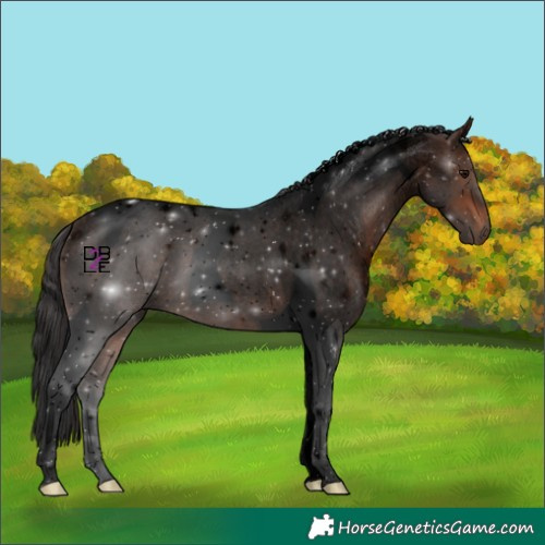 Horse Color:Void Brown Roan Tobiano 