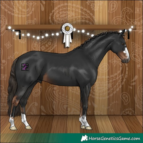 Horse Color:Gray Liver Chestnut and Gray Liver Chestnut