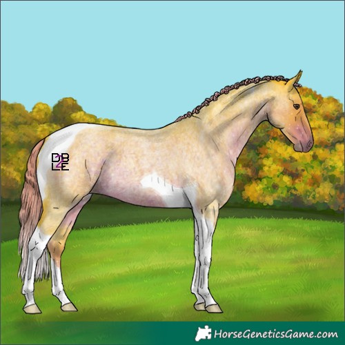 Horse Color:Watercolor Liver Red Roan Tobiano 