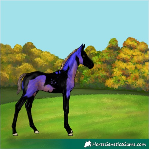 Horse Color:Void Watercolor Liver Chestnut Splash Tobiano 