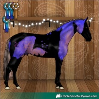 Horse Color:Void Watercolor Liver Chestnut Splash Tobiano 