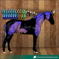 Horse Color:Void Watercolor Liver Chestnut Splash Tobiano