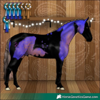 Horse Color:Void Watercolor Liver Chestnut Splash Tobiano