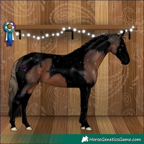 Horse Color:Void Liver Chestnut Splash Tobiano 