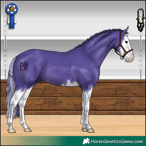 Horse Color:Watercolor Black Splash 