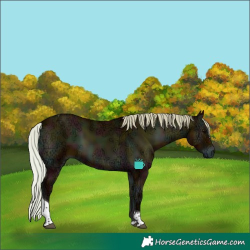 Horse Color:Midnight Silver Bay Ice Onyx Tobiano