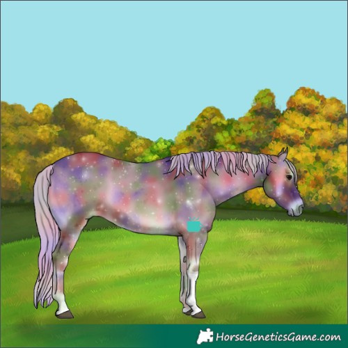 Horse Color:Nacre Silver Blue Onyx Tobiano