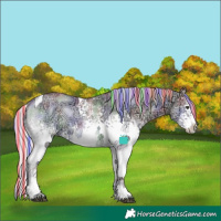 Horse Color:Painted Nacre White Spotted Chocolate Silver Grullo Chinchilla Ice Onyx Tobiano