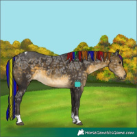Horse Color:Painted Buckskin Ice Tobiano 