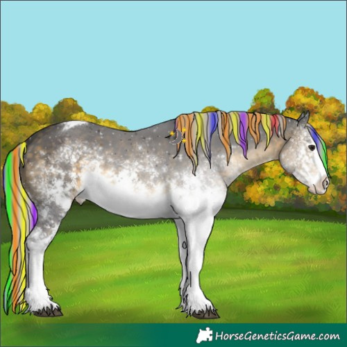 Horse Color:Painted White Spotted Silver Buckskin Tobiano
