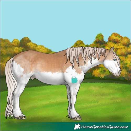 Horse Color:Chocolate Palomino Splash
