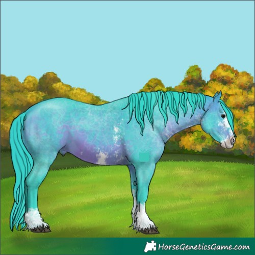 Horse Color:Watercolor Brown Sabino