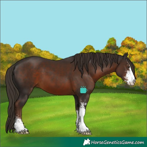 Horse Color:Liver Chestnut Sabino