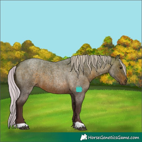 Horse Color:Silver Brown Roan 
