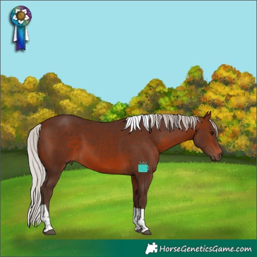 Horse Color:Silver Brown Tobiano 