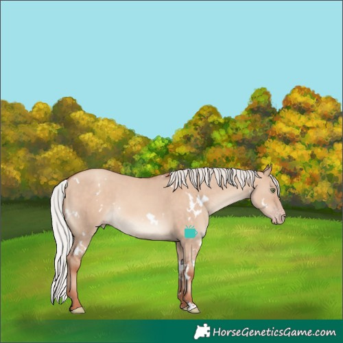 Horse Color:White Spotted Silver Sable Champagne Dun 