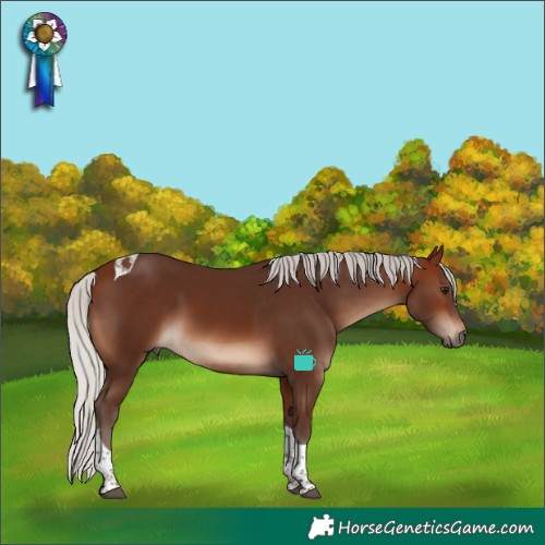 Horse Color:Silver Brown Tobiano