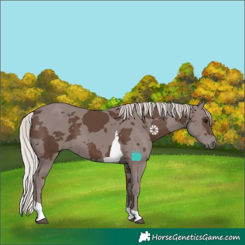Horse Color:Silver Black Merle Tobiano 