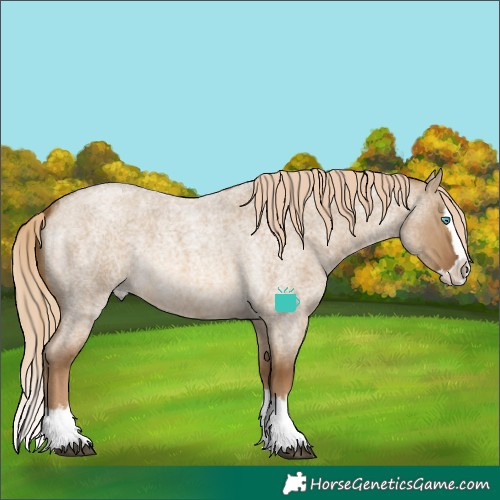 Horse Color:Chocolate Palomino Roan Dun Splash Rabicano