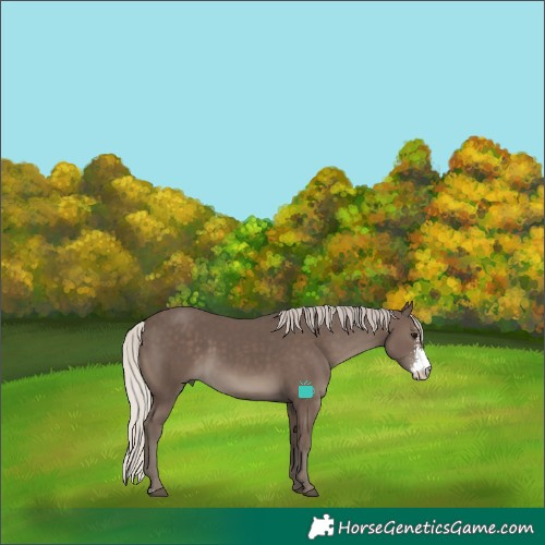 Horse Color:Silver Black Sabino