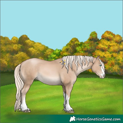 Horse Color:Chocolate Palomino Pearl 