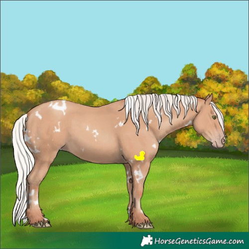 Horse Color:White Spotted Silver Classic Champagne