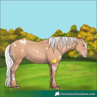 Horse Color:White Spotted Silver Classic Champagne 