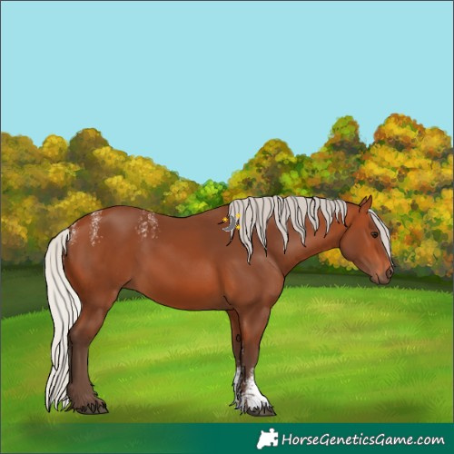 Horse Color:Powder White Silver Bay 