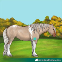 Horse Color:Silver Brown Dun Tobiano Skewed LP Spotted