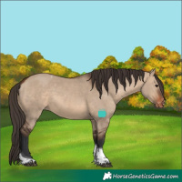 Horse Color:Brown Dun Tobiano Skewed LP Spotted Rabicano 