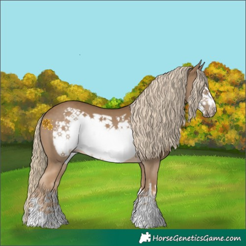 Horse Color:Chocolate Palomino Frame 