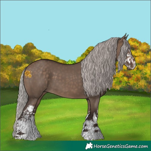 Horse Color:White Spotted Silver Brown Dun 