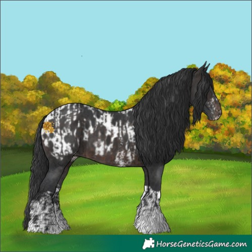Horse Color:Brown Sabino and Brown Sabino Tobiano Near Leopard