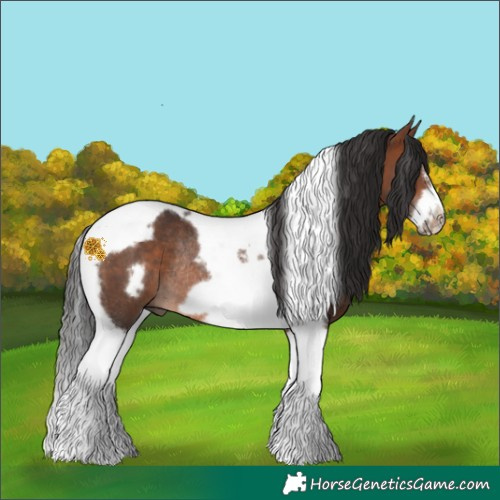 Horse Color:Bay Tobiano Frame Rabicano