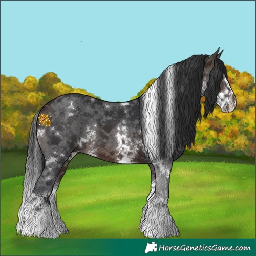 Horse Color:White Spotted Bay Sabino Splash