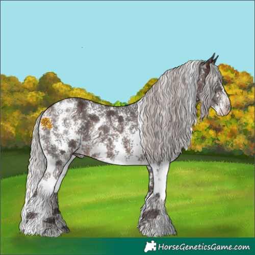 Horse Color:Silver Brown Sabino