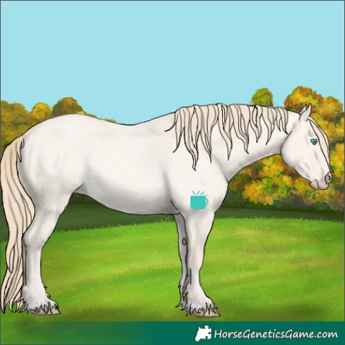 Horse Color:Perlino Roan Dun