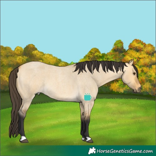 Horse Color:Buckskin Roan Dun 