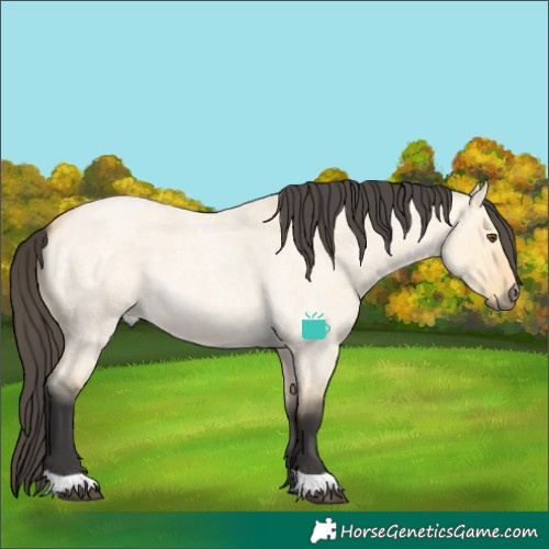 Horse Color:Buckskin Roan Dun 